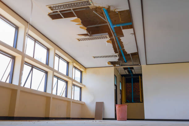 Reliable Carlin, NV Water damage restoration Solutions