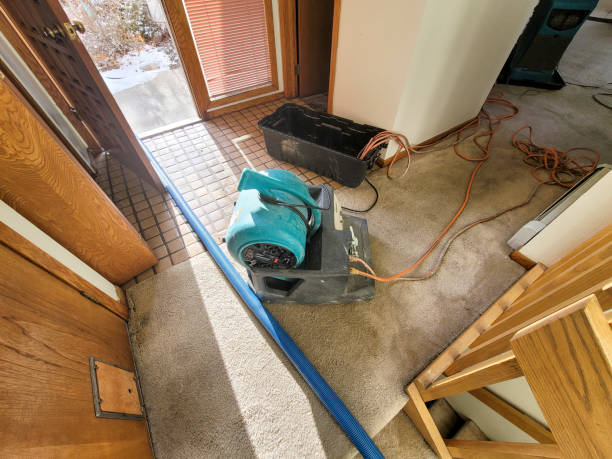 Best Water damage contractors near me  in Carlin, NV