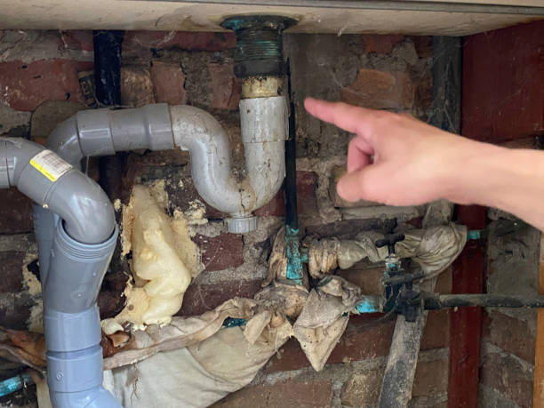 Best Flooded house restoration  in Carlin, NV
