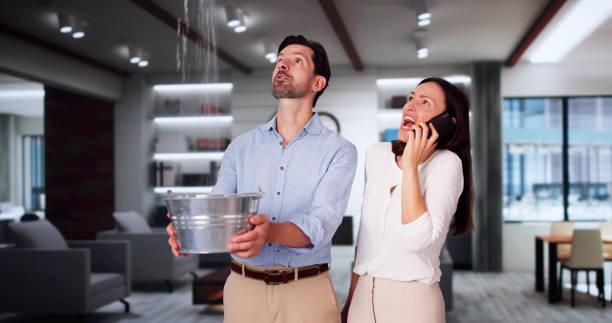 Best Water damage restoration cost  in Carlin, NV